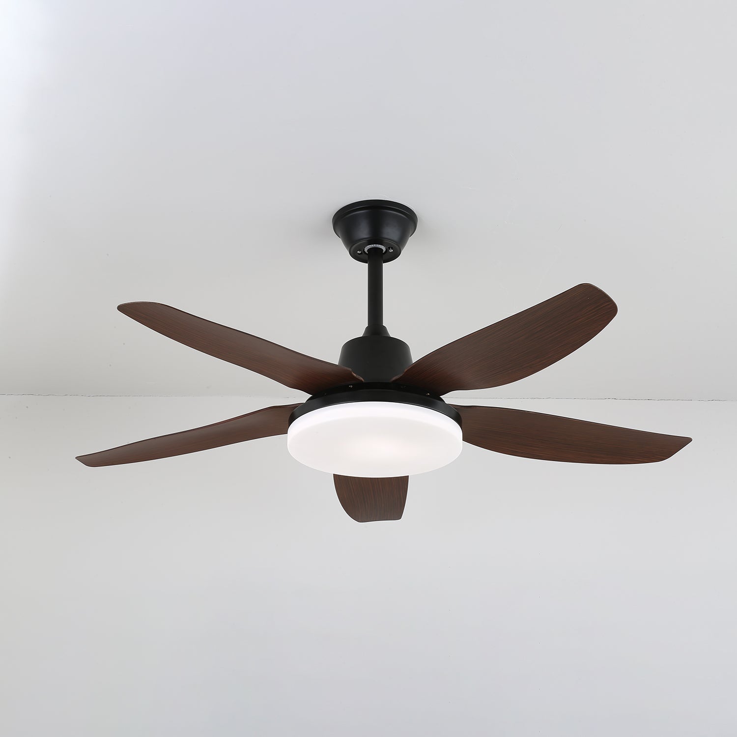 Milomia Ceiling Fan Light