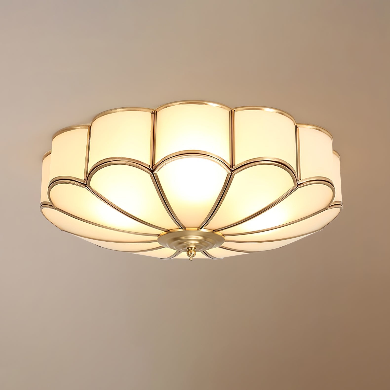 Fomensa Ceiling Light
