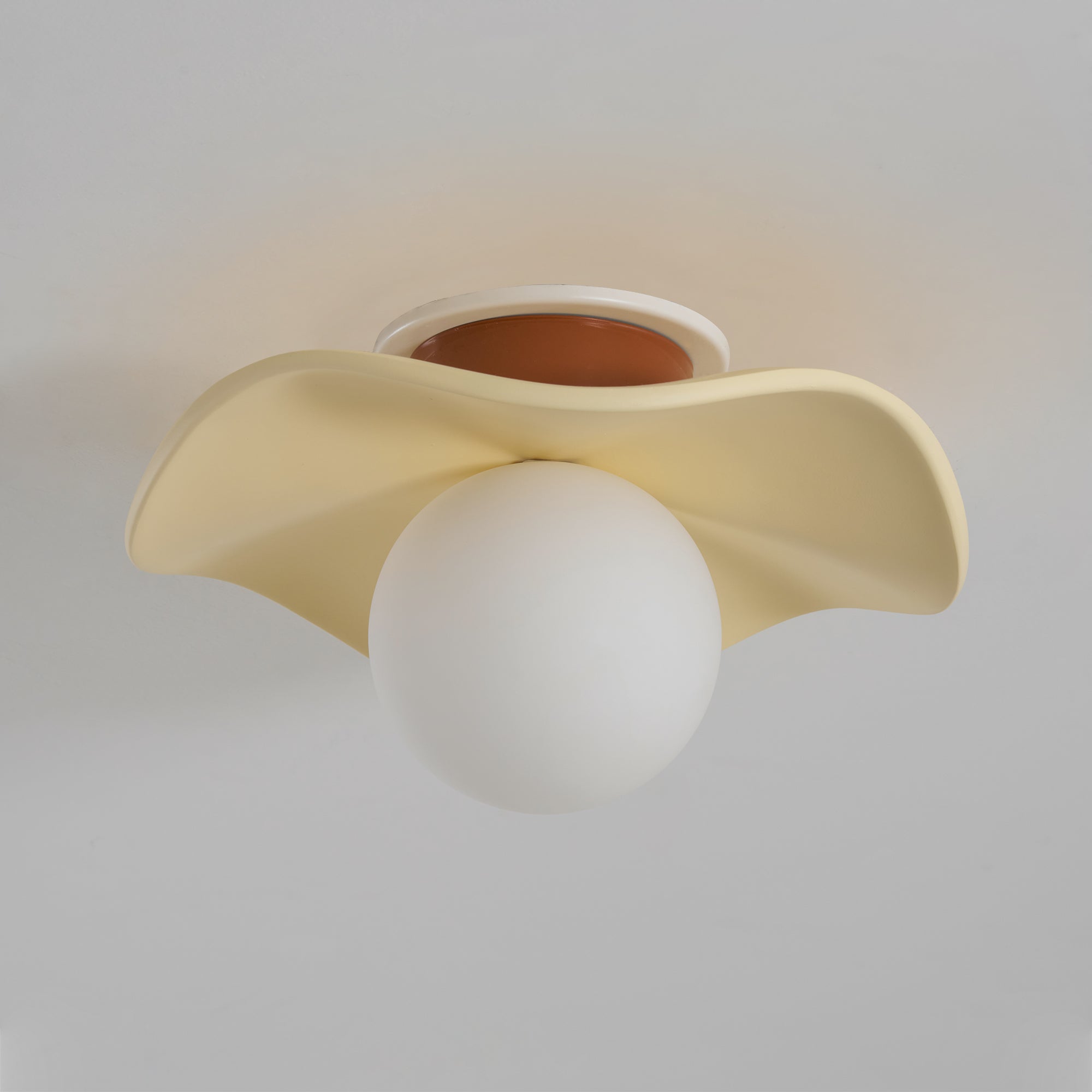 Noaeye Ceiling Light