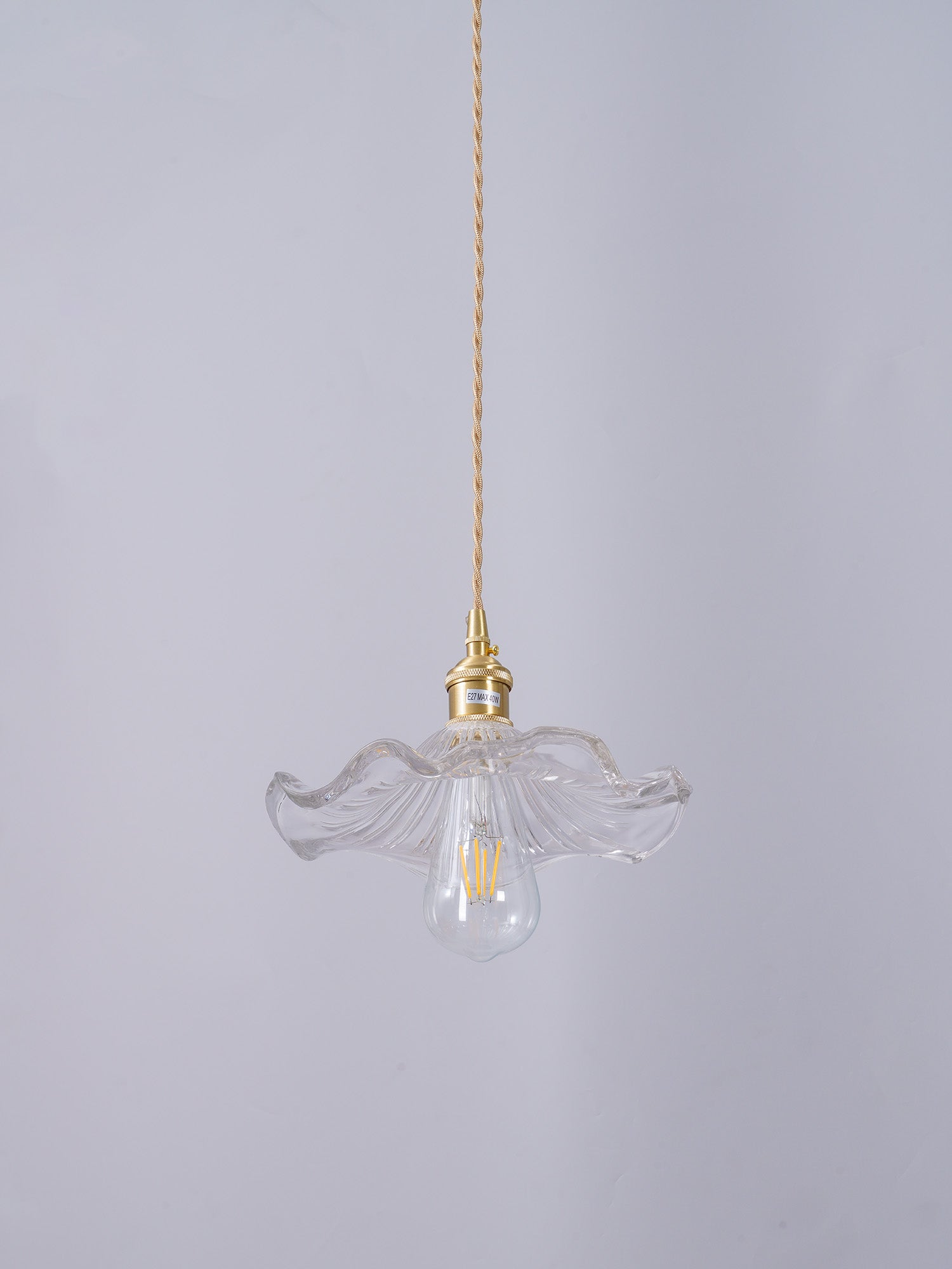 Paloia Vintage Plug In Pendant Light