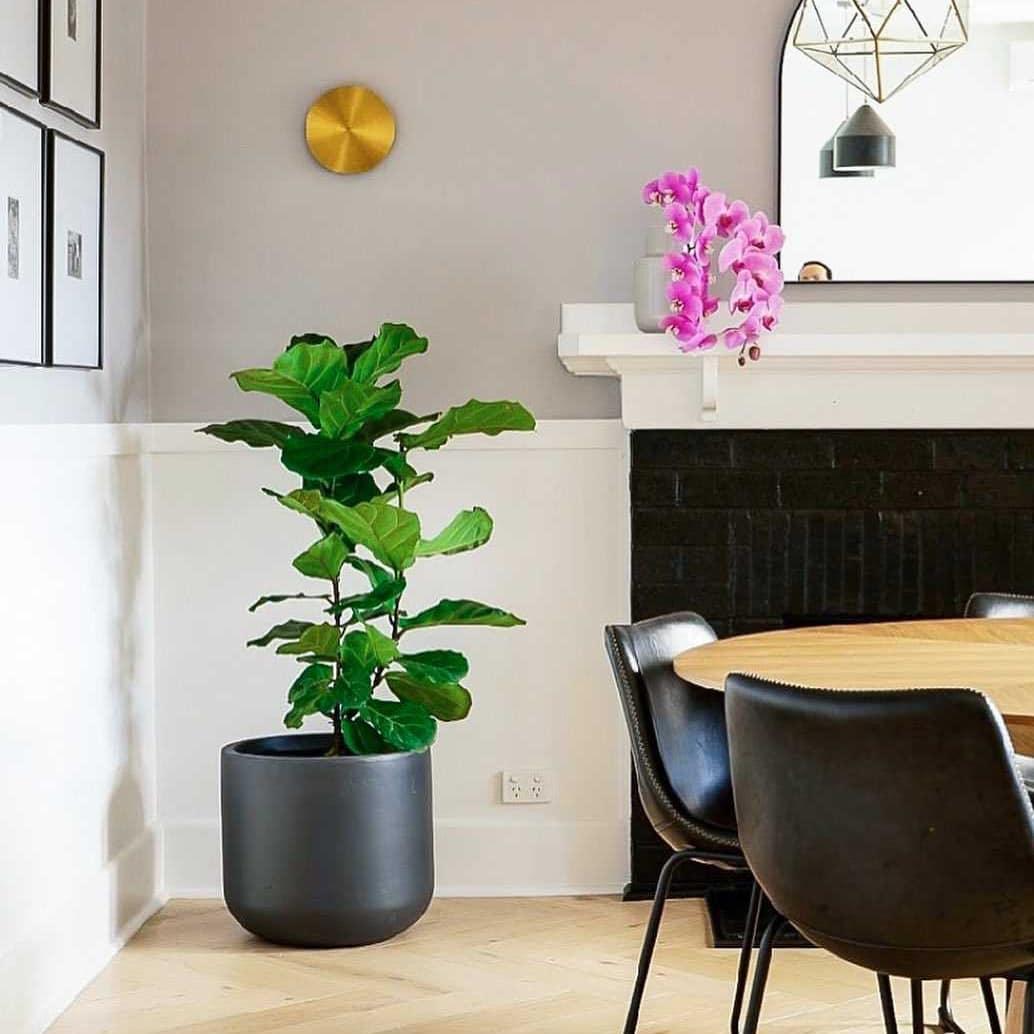 Gossa Wall Lamp – detail 20
