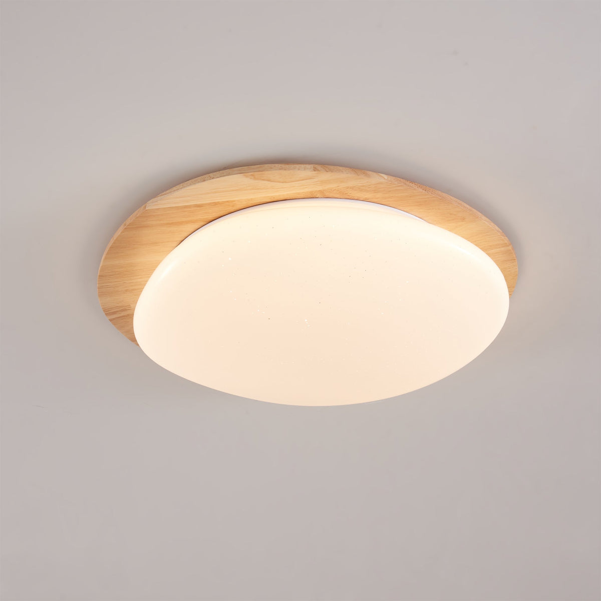 Junovalo Minimalist Ceiling Light