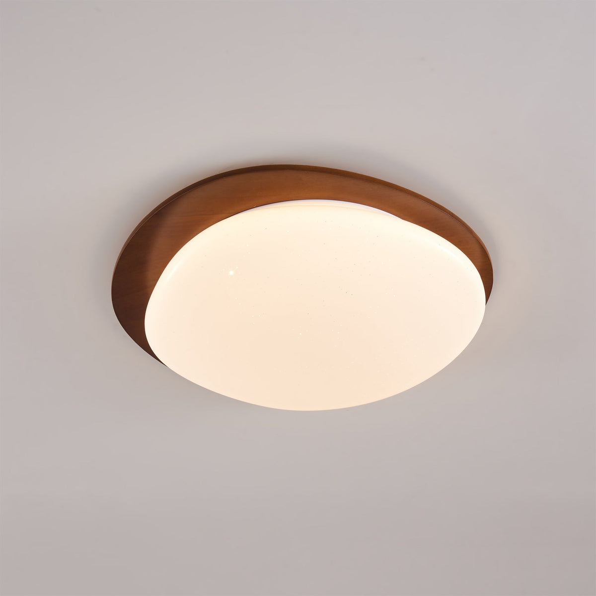 Junovalo Minimalist Ceiling Light