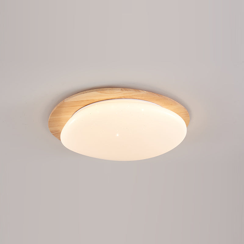 Junovalo Minimalist Ceiling Light