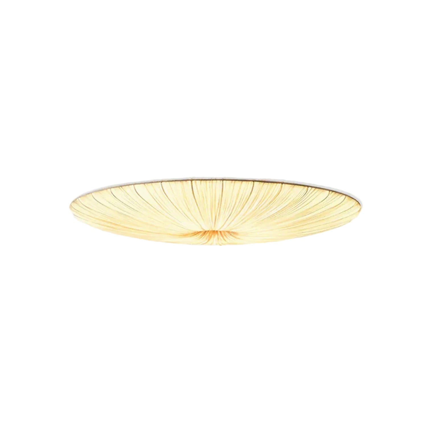 Junovenlo Tassel Ceiling Light