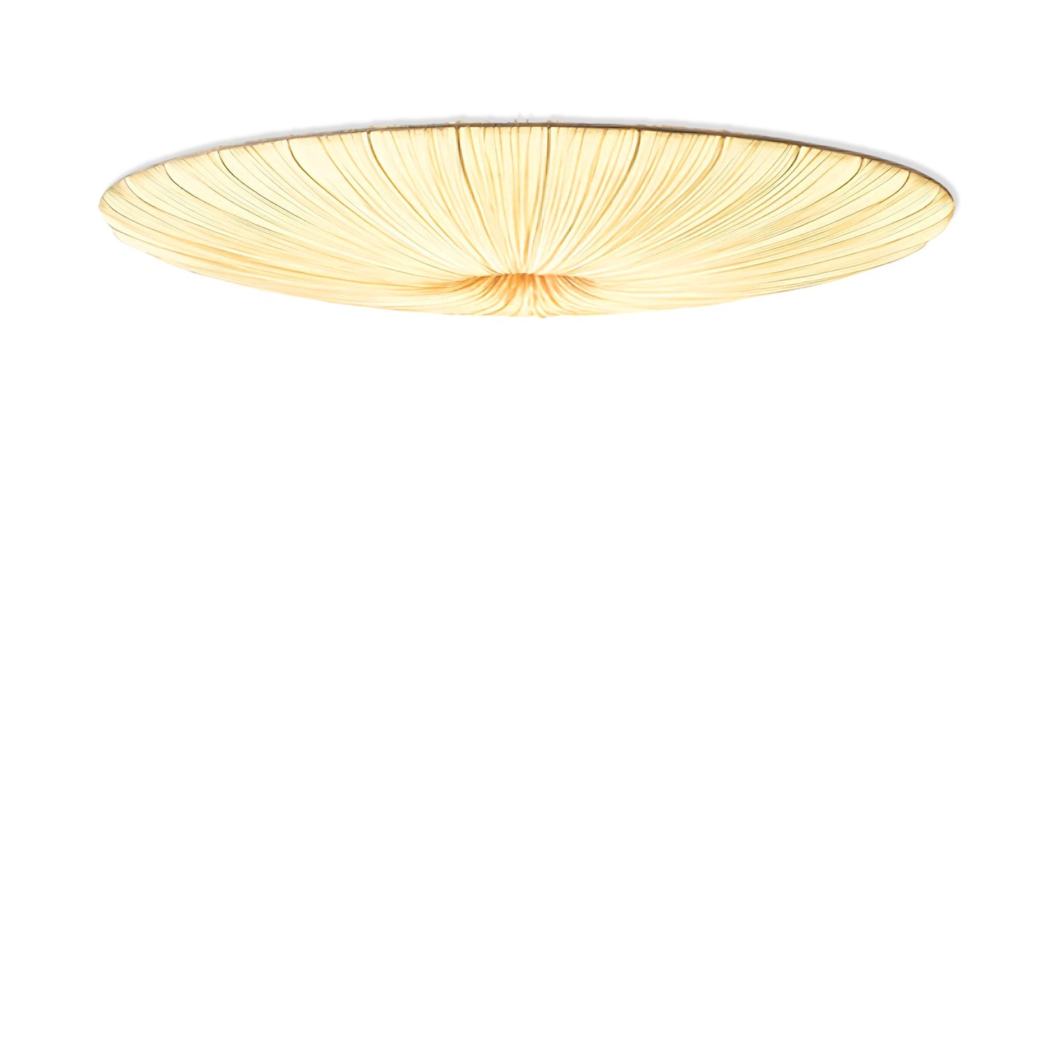 Junovenlo Tassel Ceiling Light