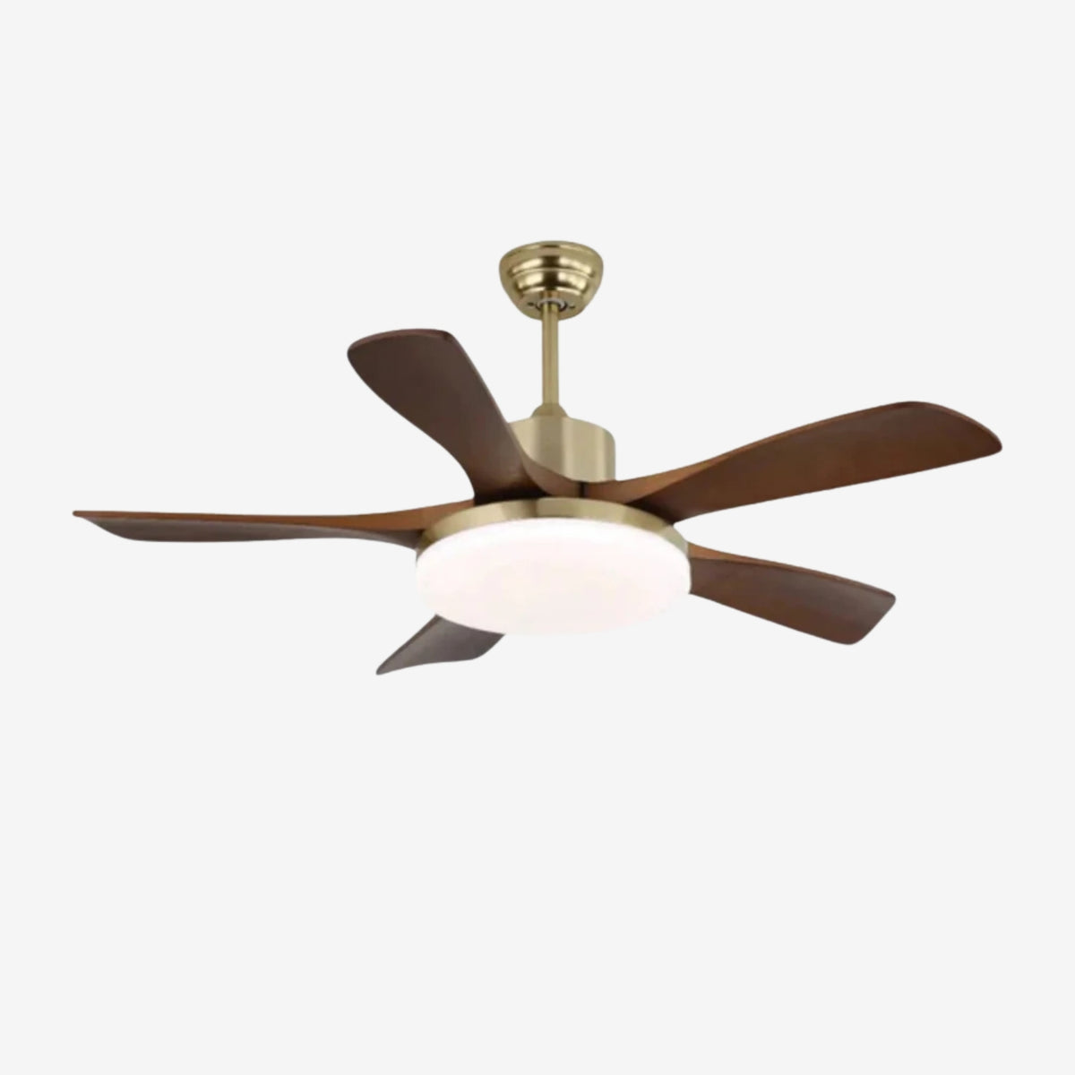 Haleley Ceiling Fan Light