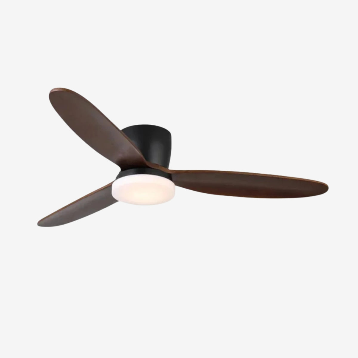 Evenlor Ceiling Fan Light
