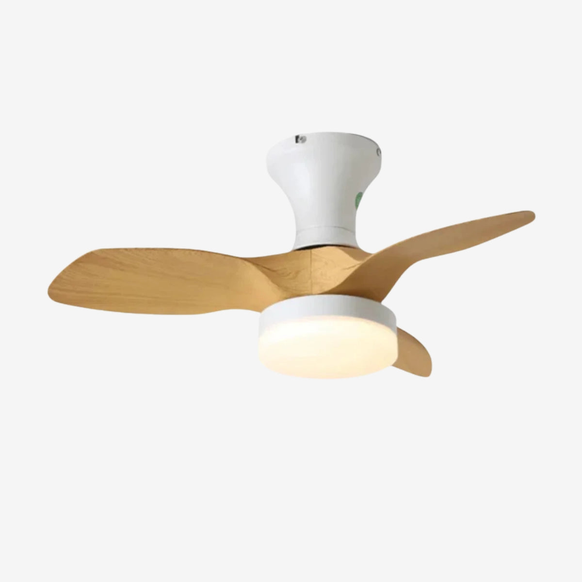 Darma Ceiling Fan Light