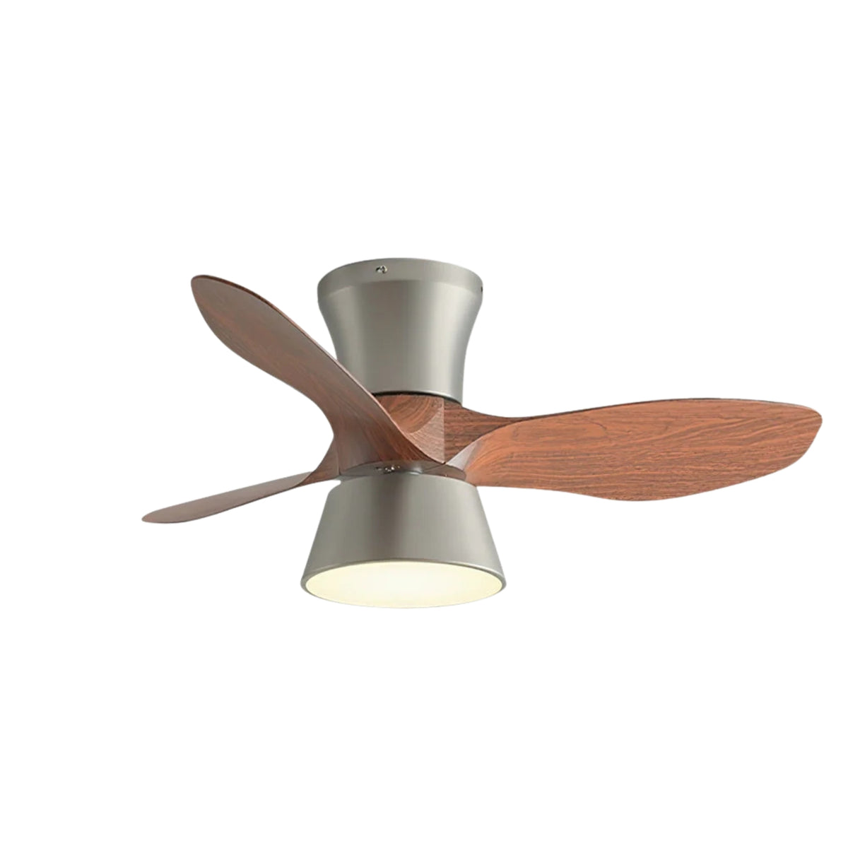 Hayvi Ceiling Fan Light
