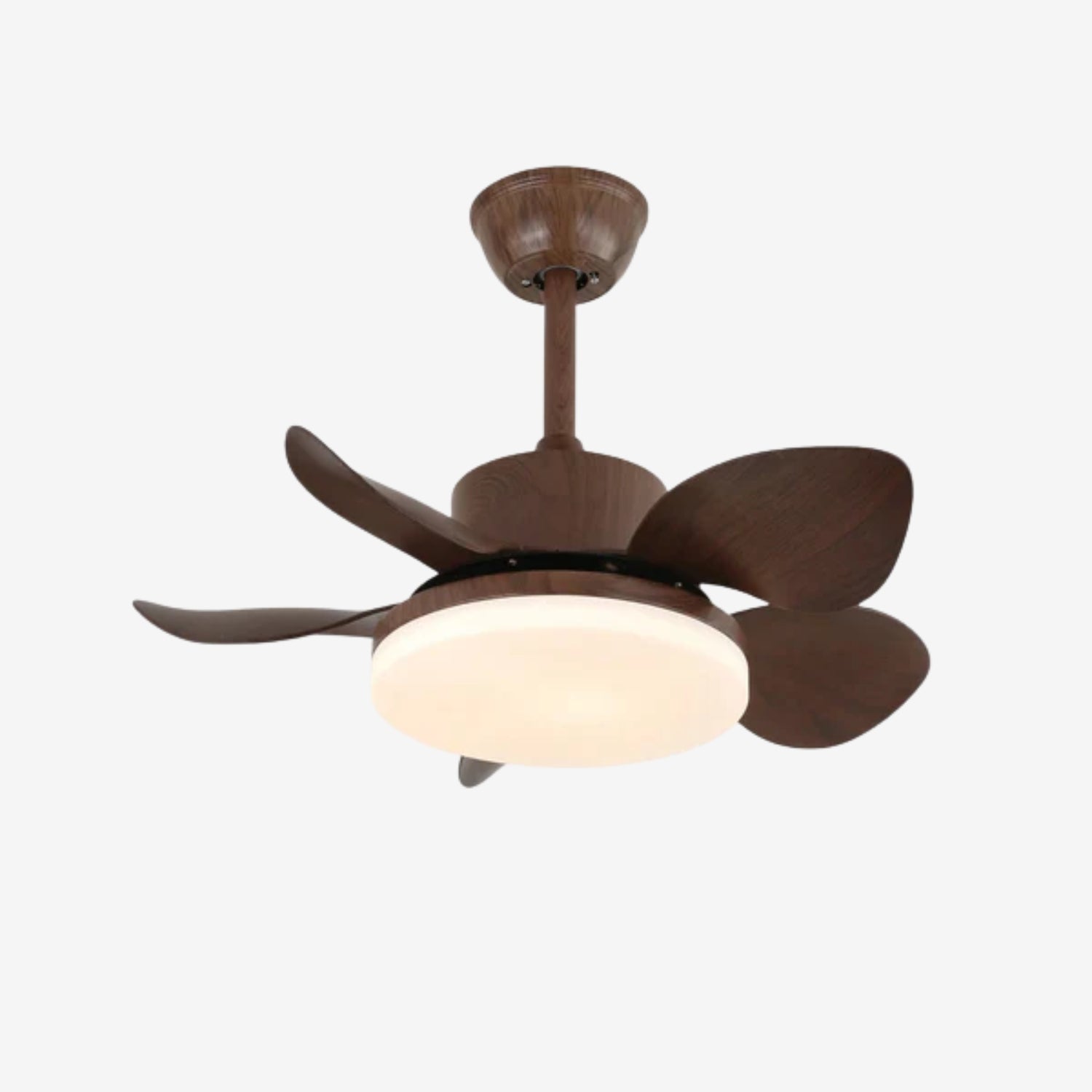 Evone Ceiling Fan Light