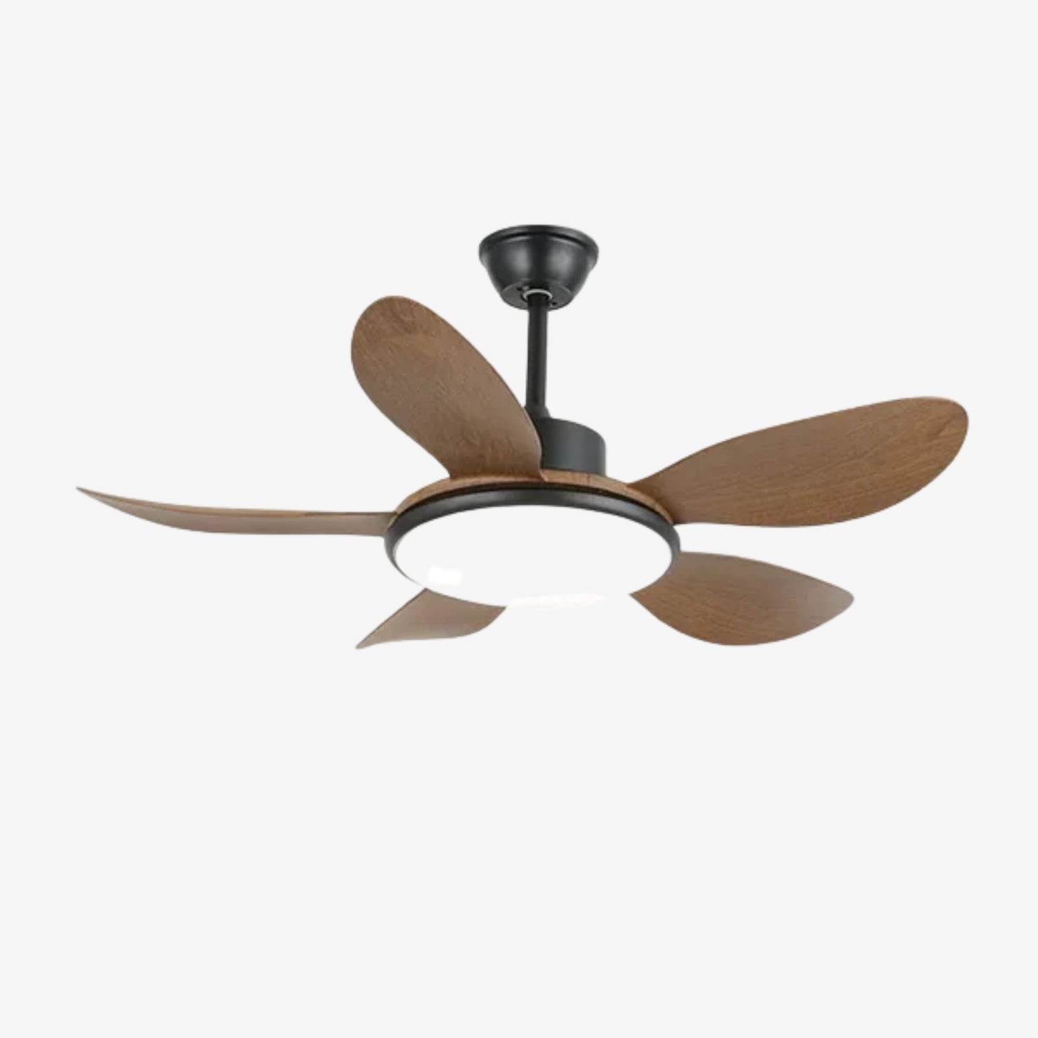 Darlenlo Ceiling Fan Light