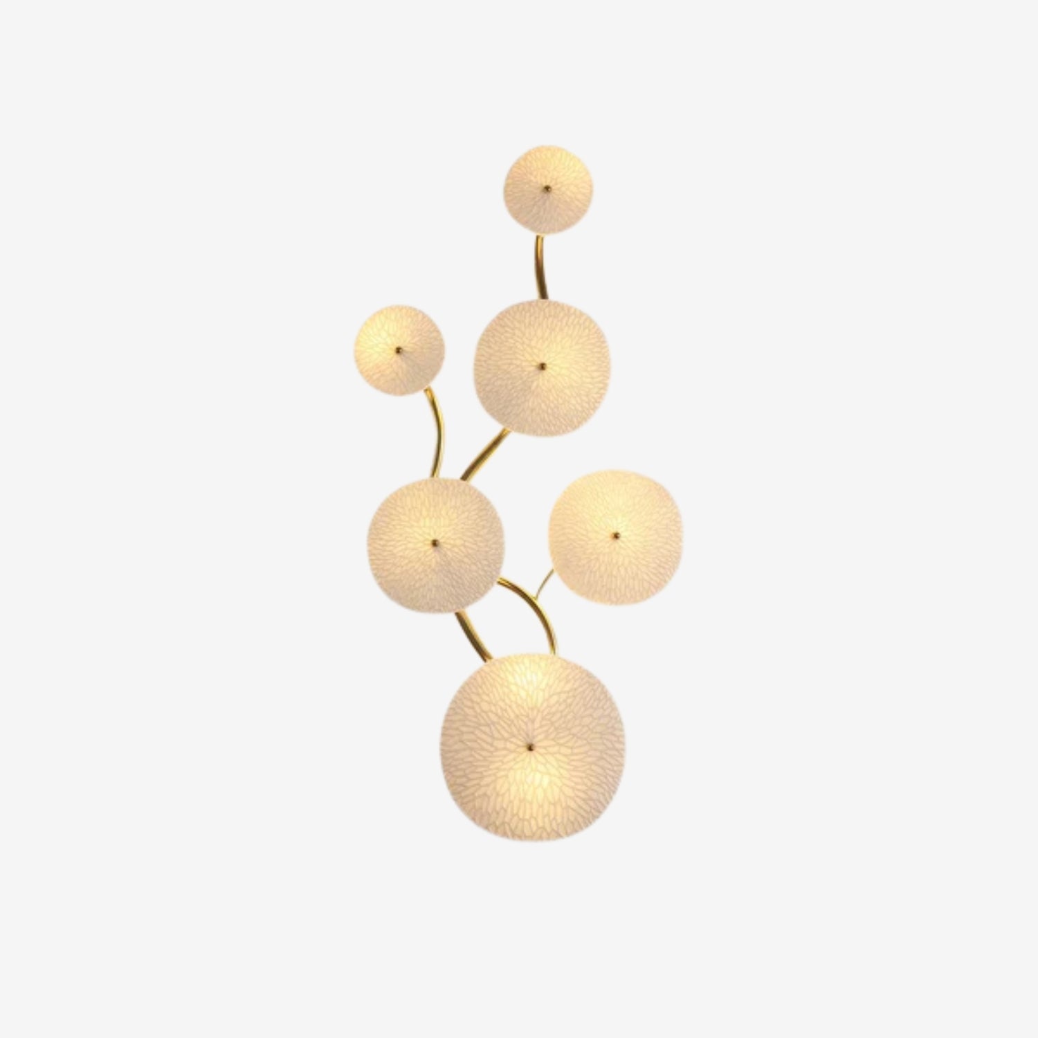 Joray Lotus Wall Light