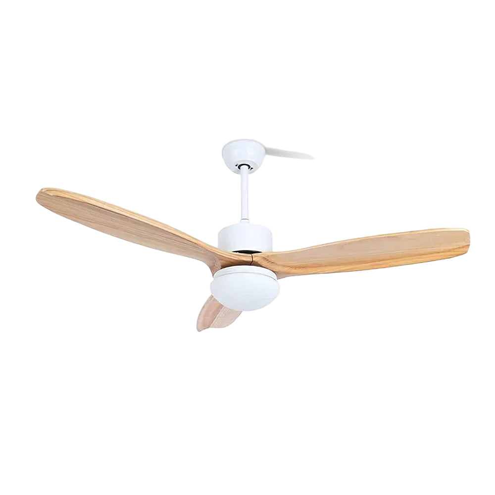Zelal Ceiling Fan Light