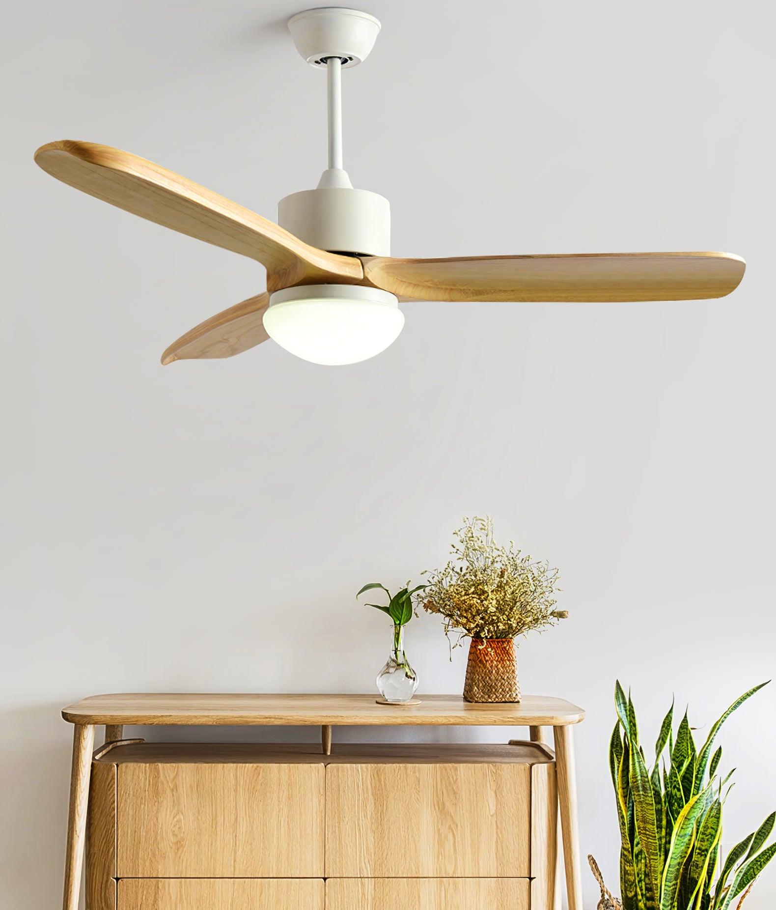Zelal Ceiling Fan Light