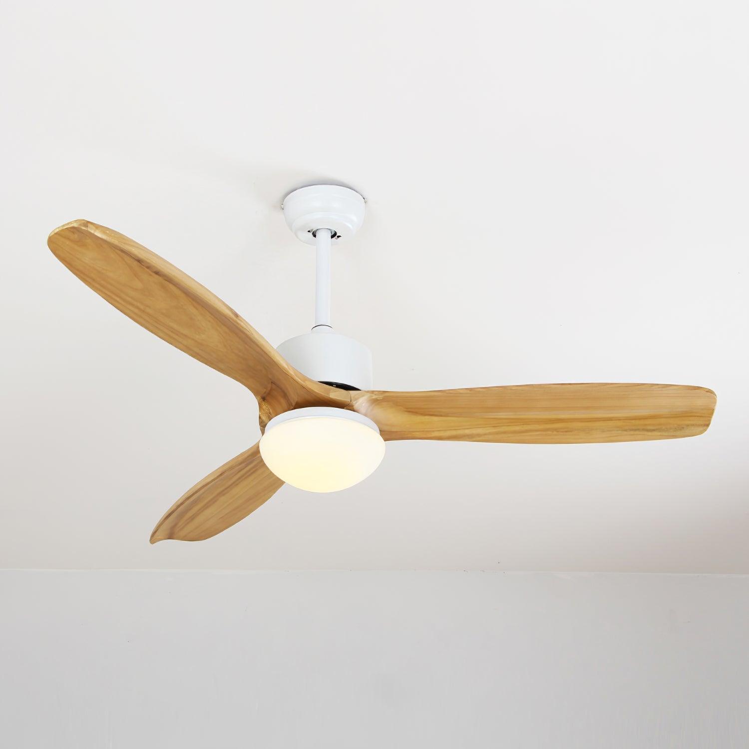 Zelal Ceiling Fan Light