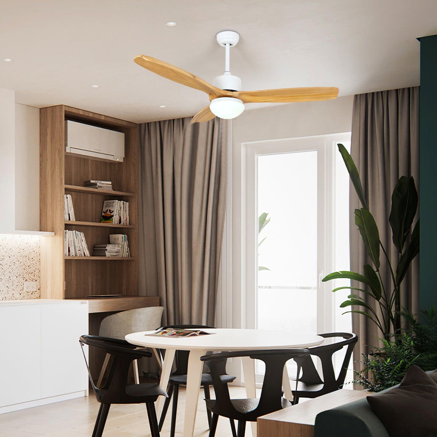 Zelal Ceiling Fan Light