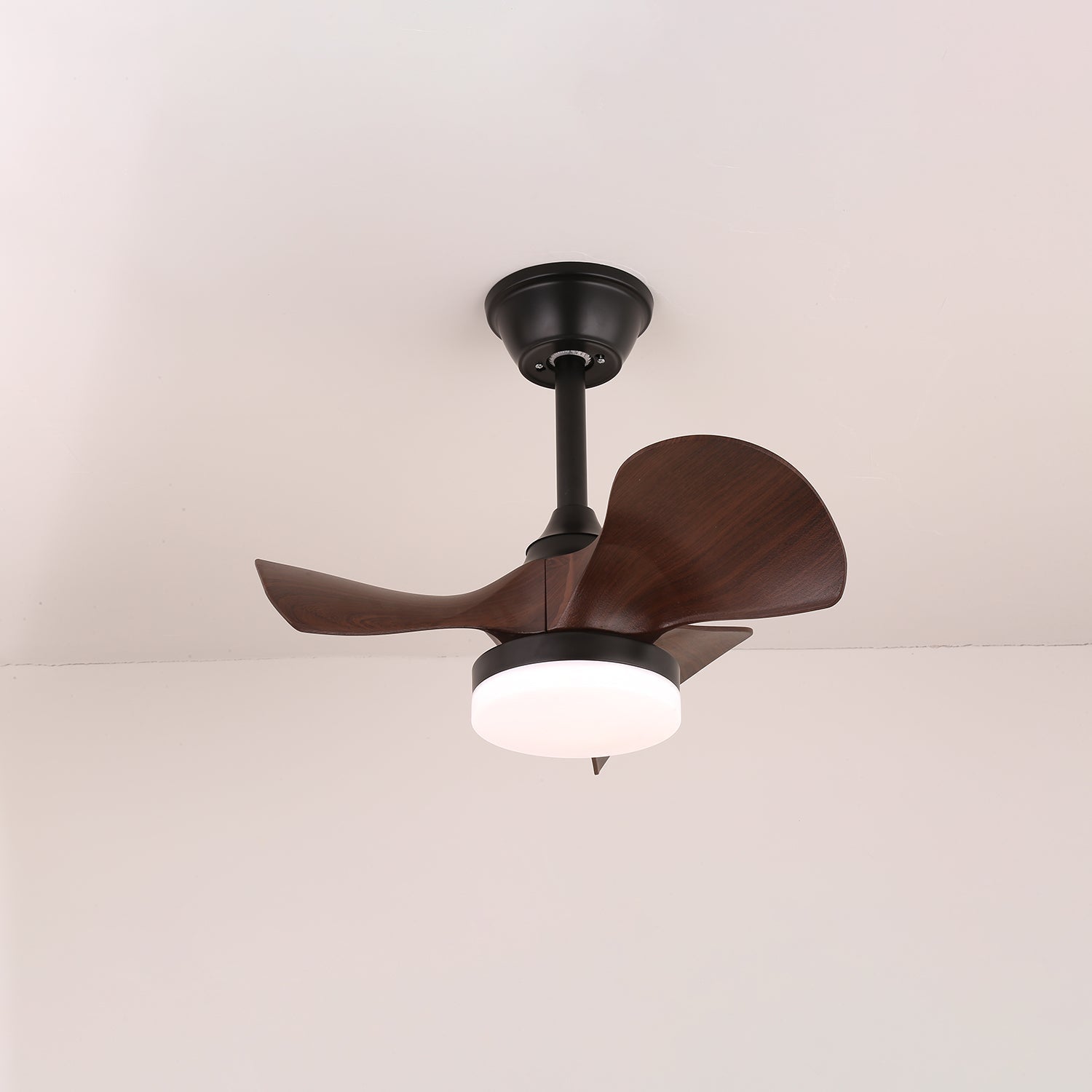 Doveno Ceiling Fan Light