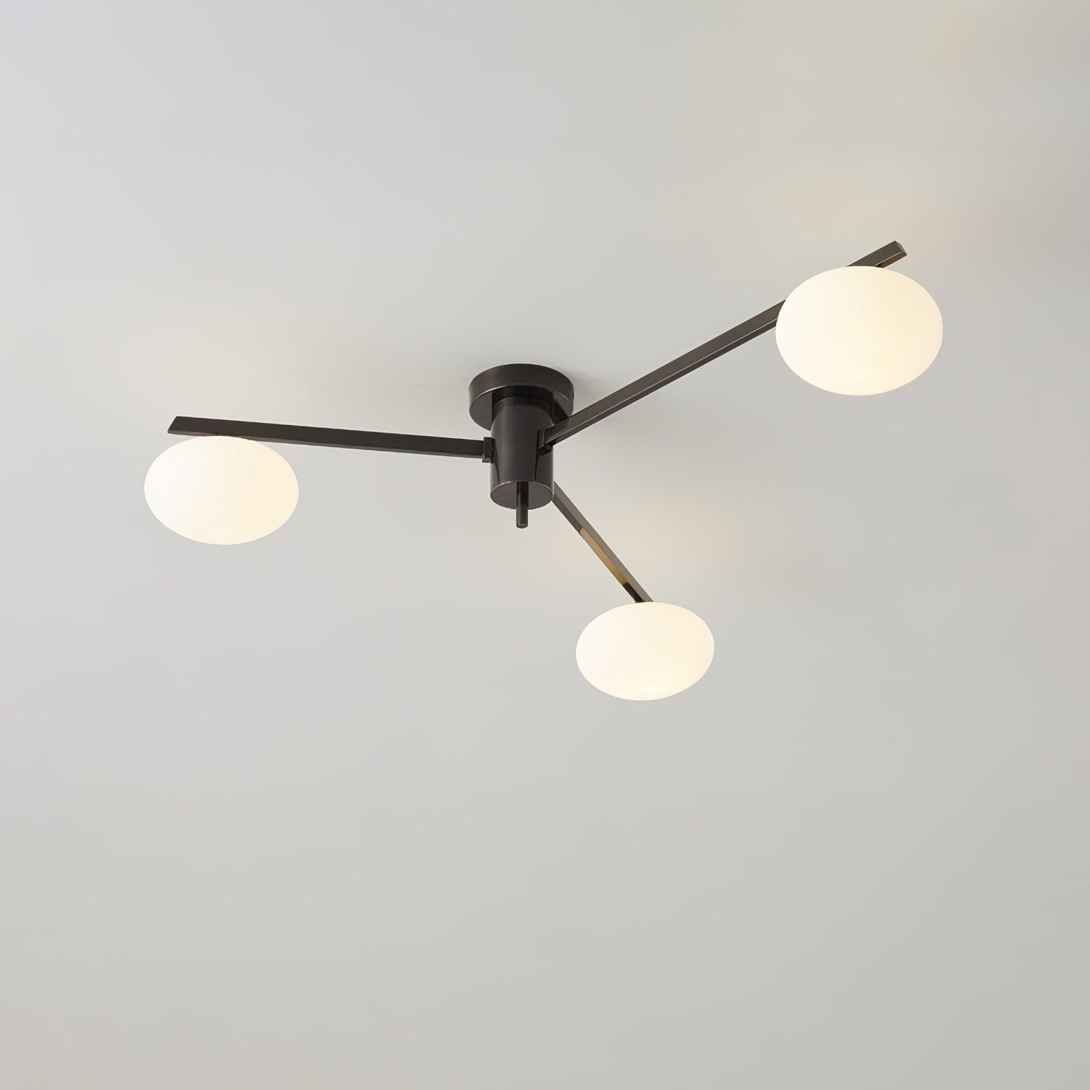Nolmien Modern Ceiling Light