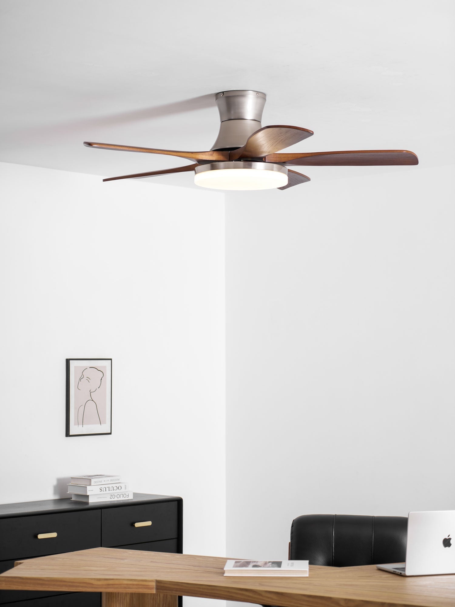 Camon Ceiling Fan Light