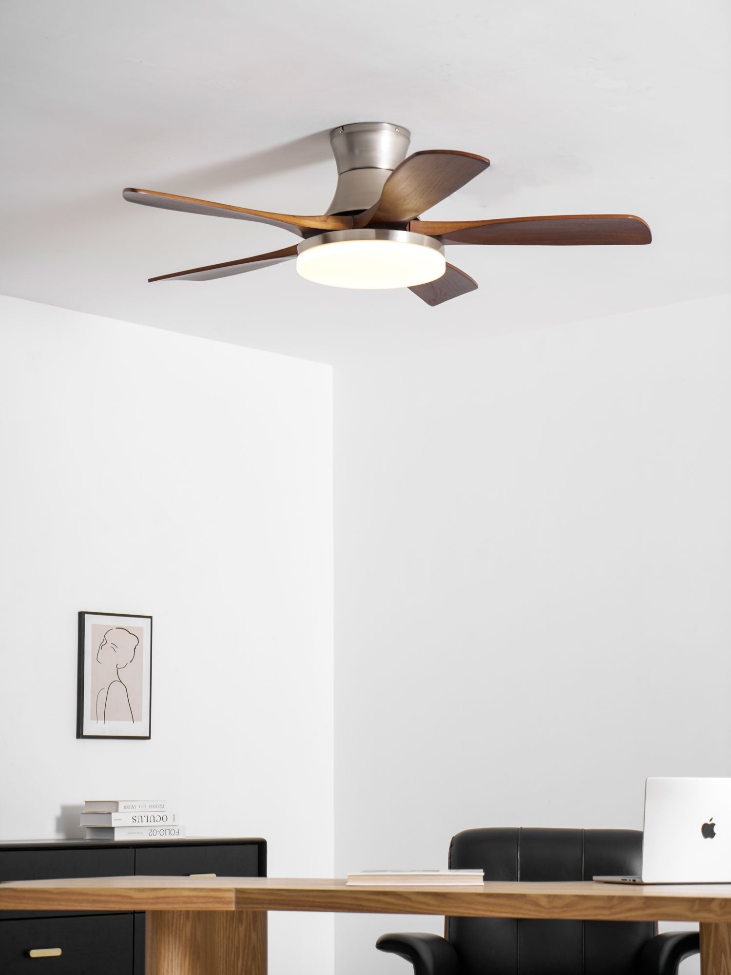 Camon Ceiling Fan Light