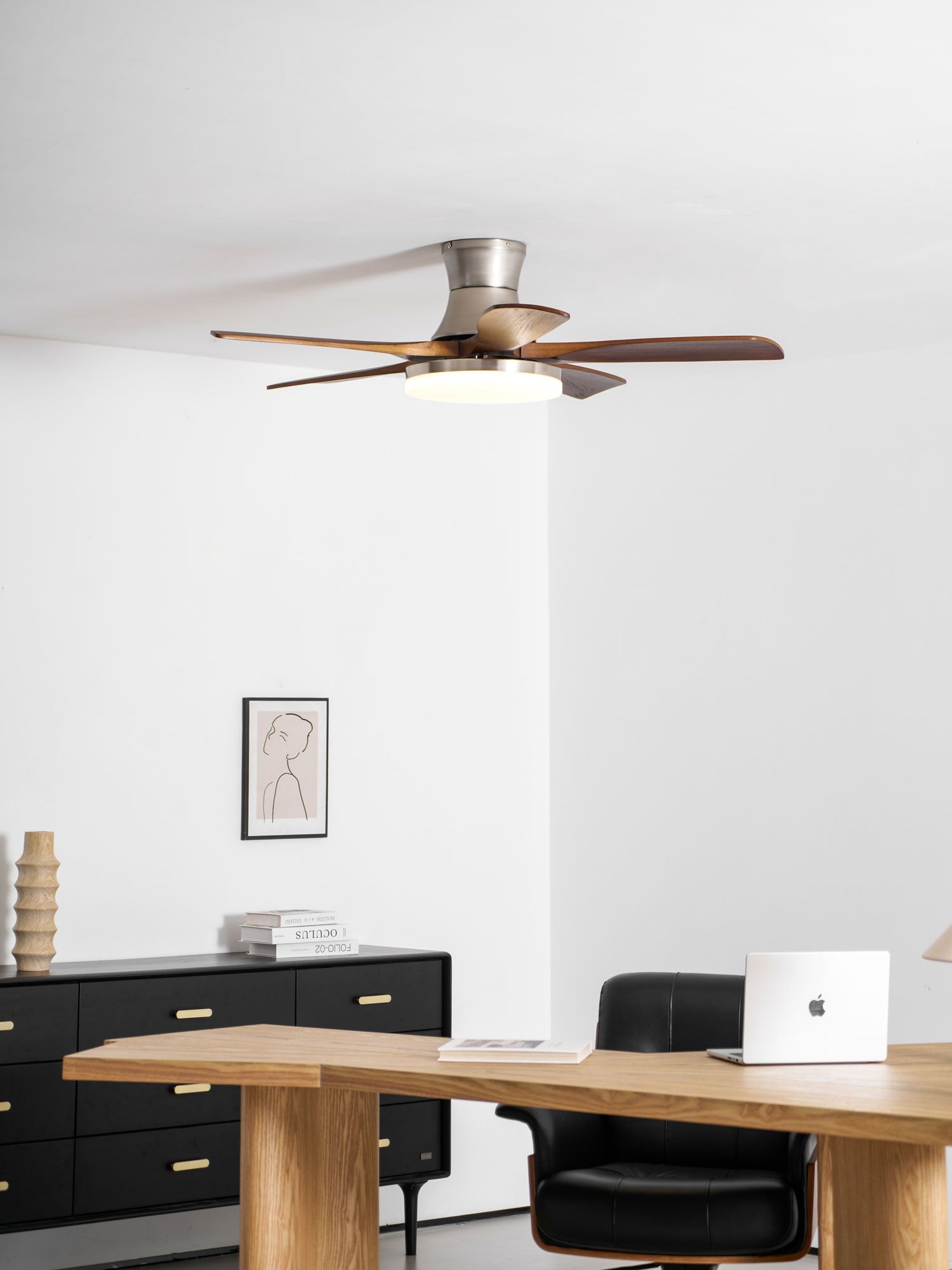 Camon Ceiling Fan Light