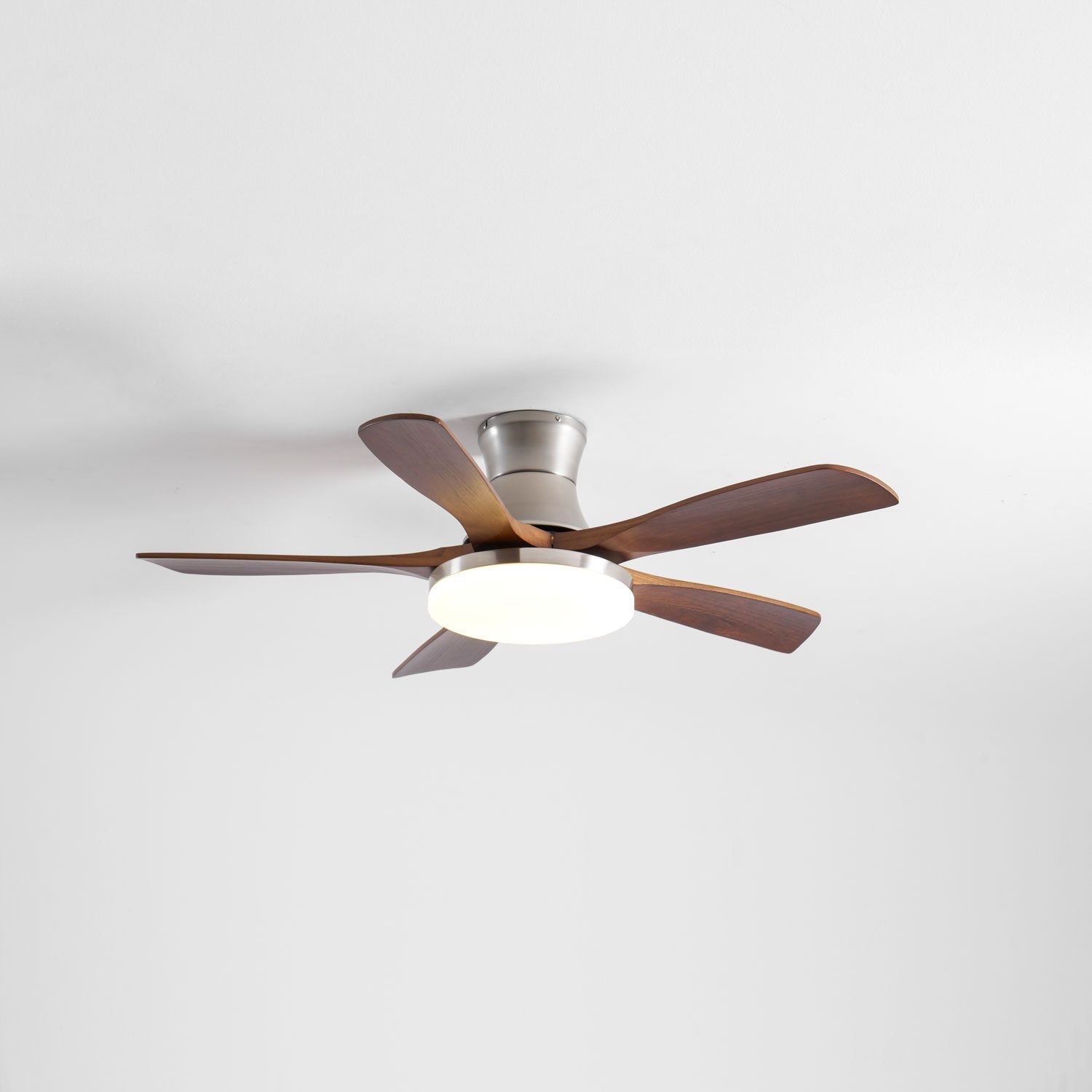 Camon Ceiling Fan Light