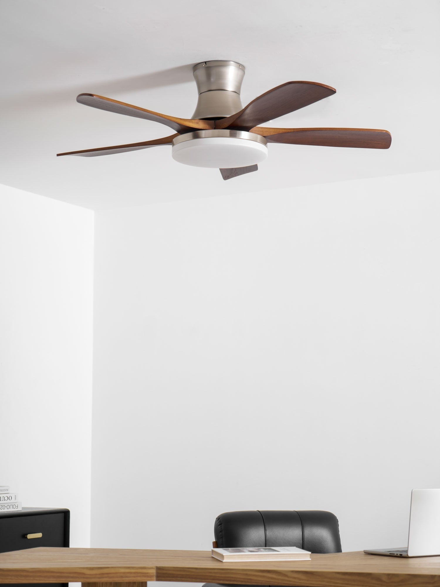 Camon Ceiling Fan Light