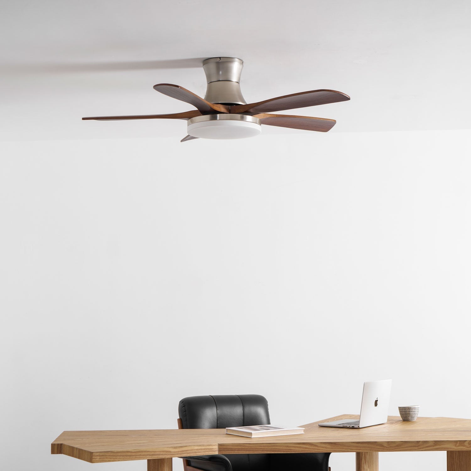 Camon Ceiling Fan Light