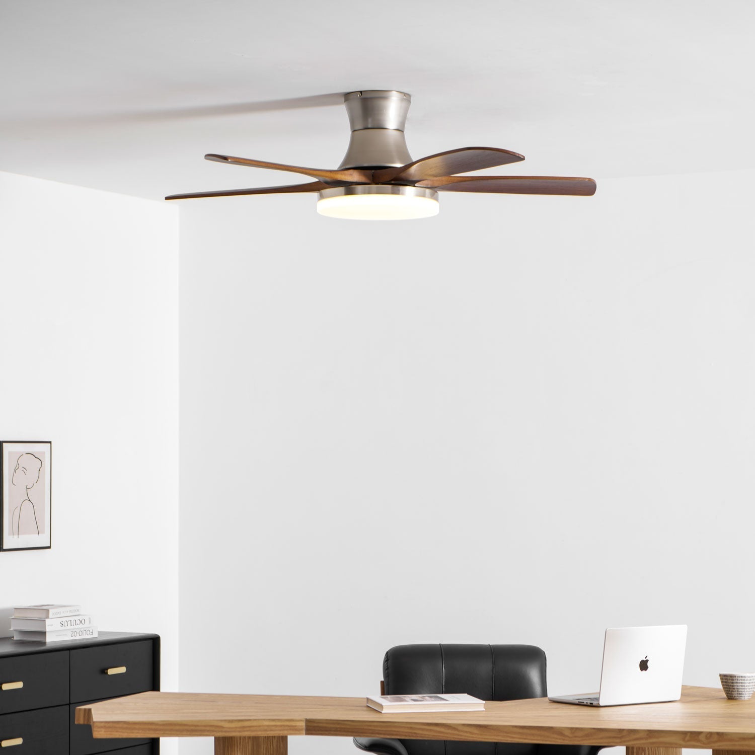 Camon Ceiling Fan Light