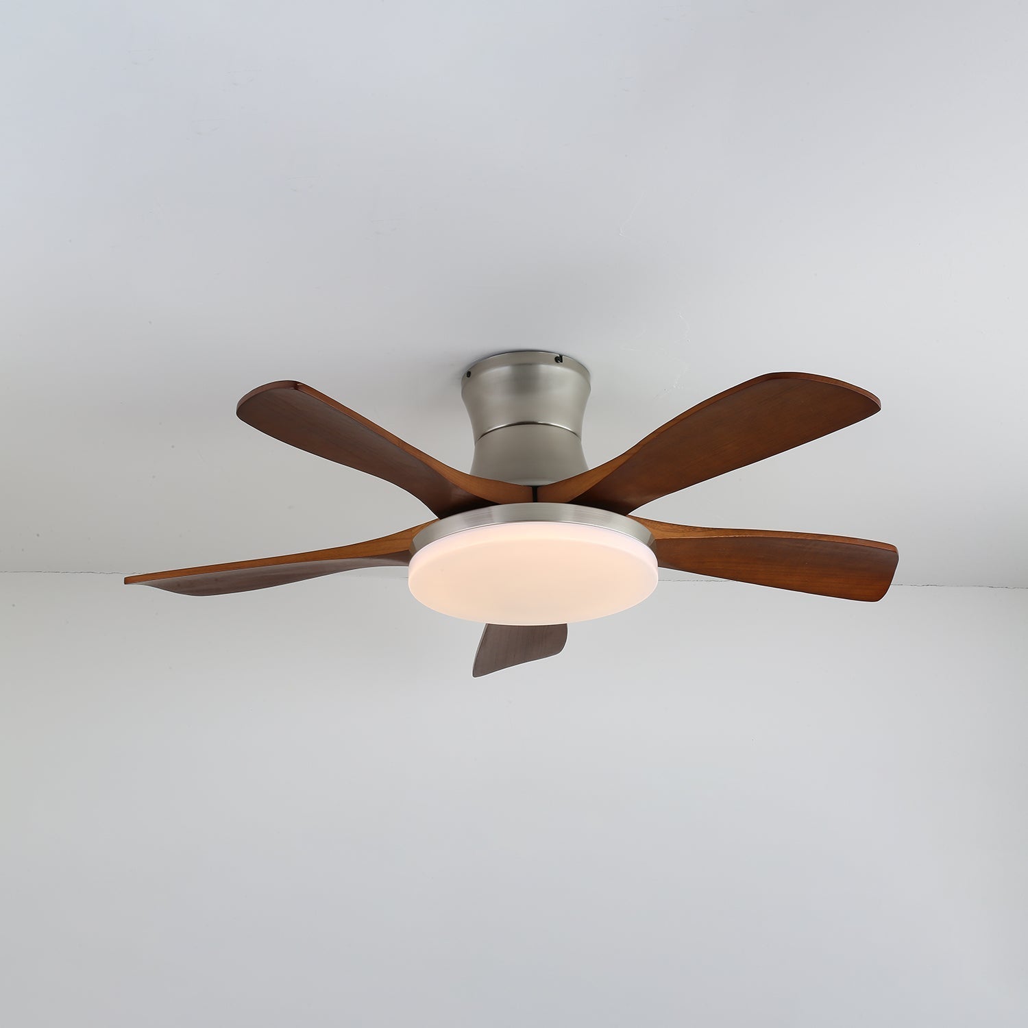 Camon Ceiling Fan Light