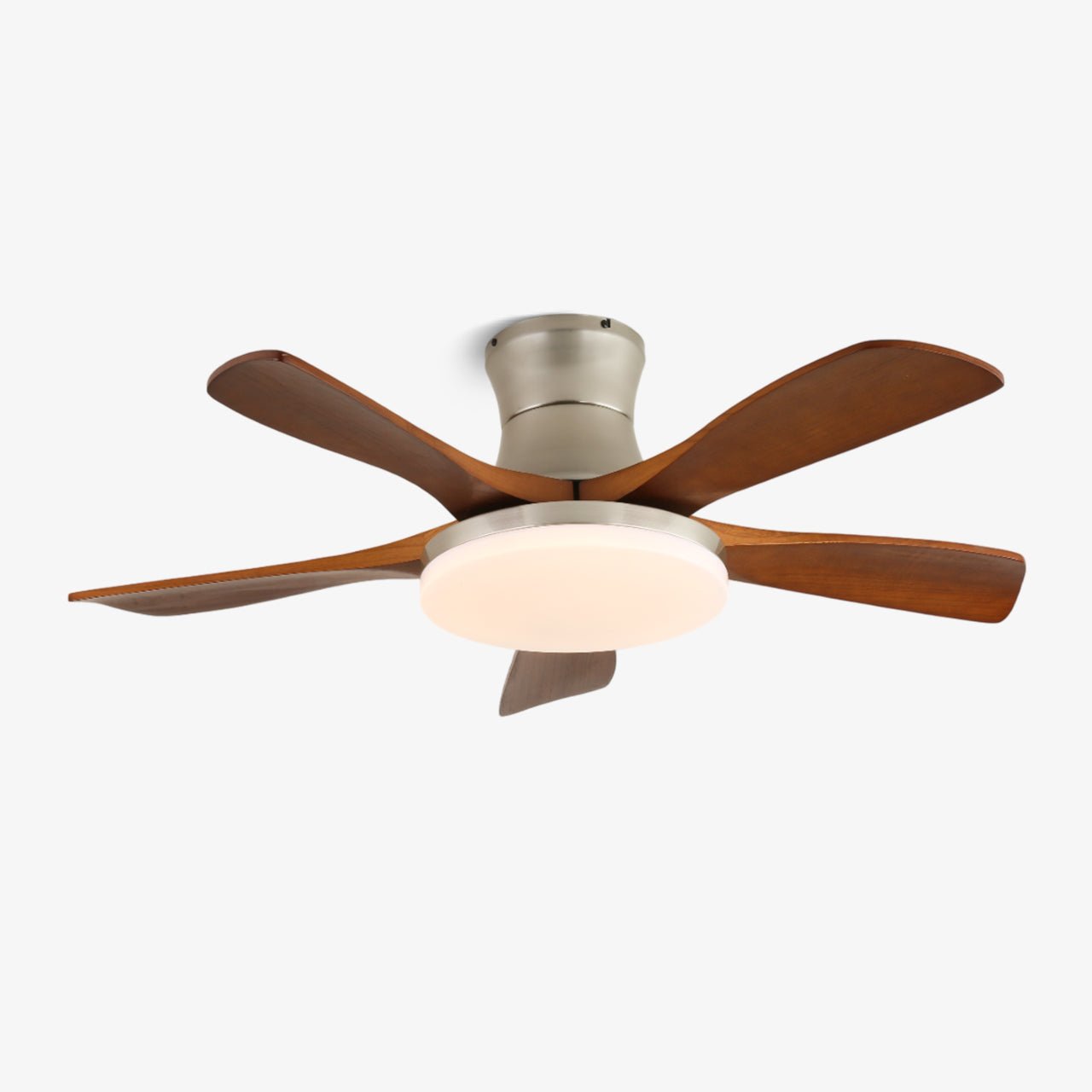 Camon Ceiling Fan Light