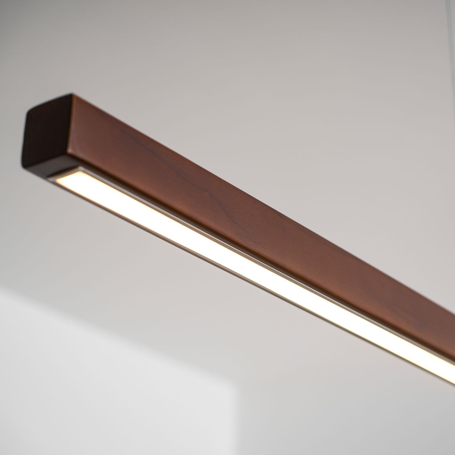 Coral Linear Pendant Light