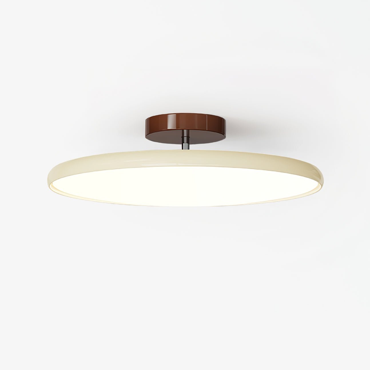 Rioas Adjustable Ceiling Light