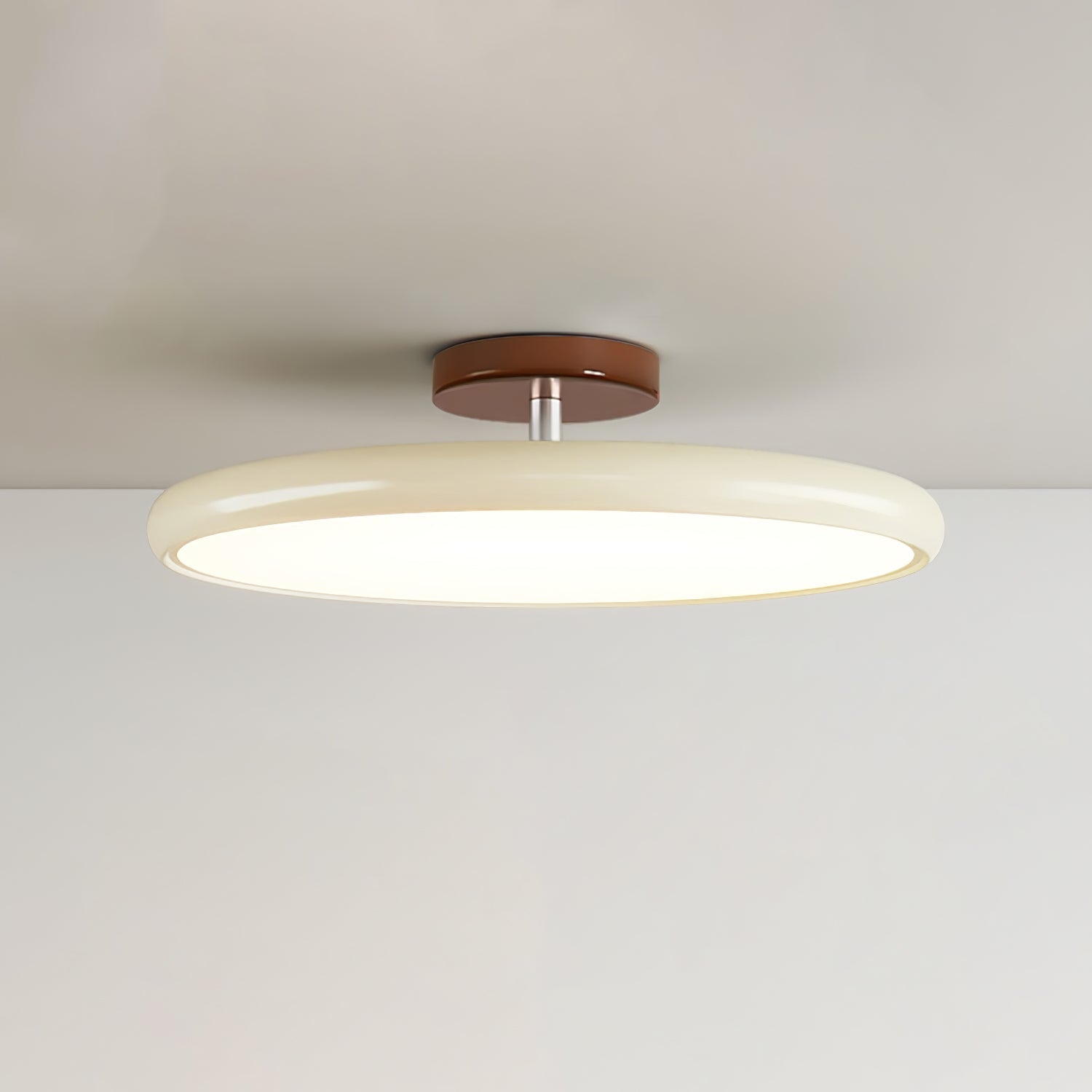 Rioas Adjustable Ceiling Light