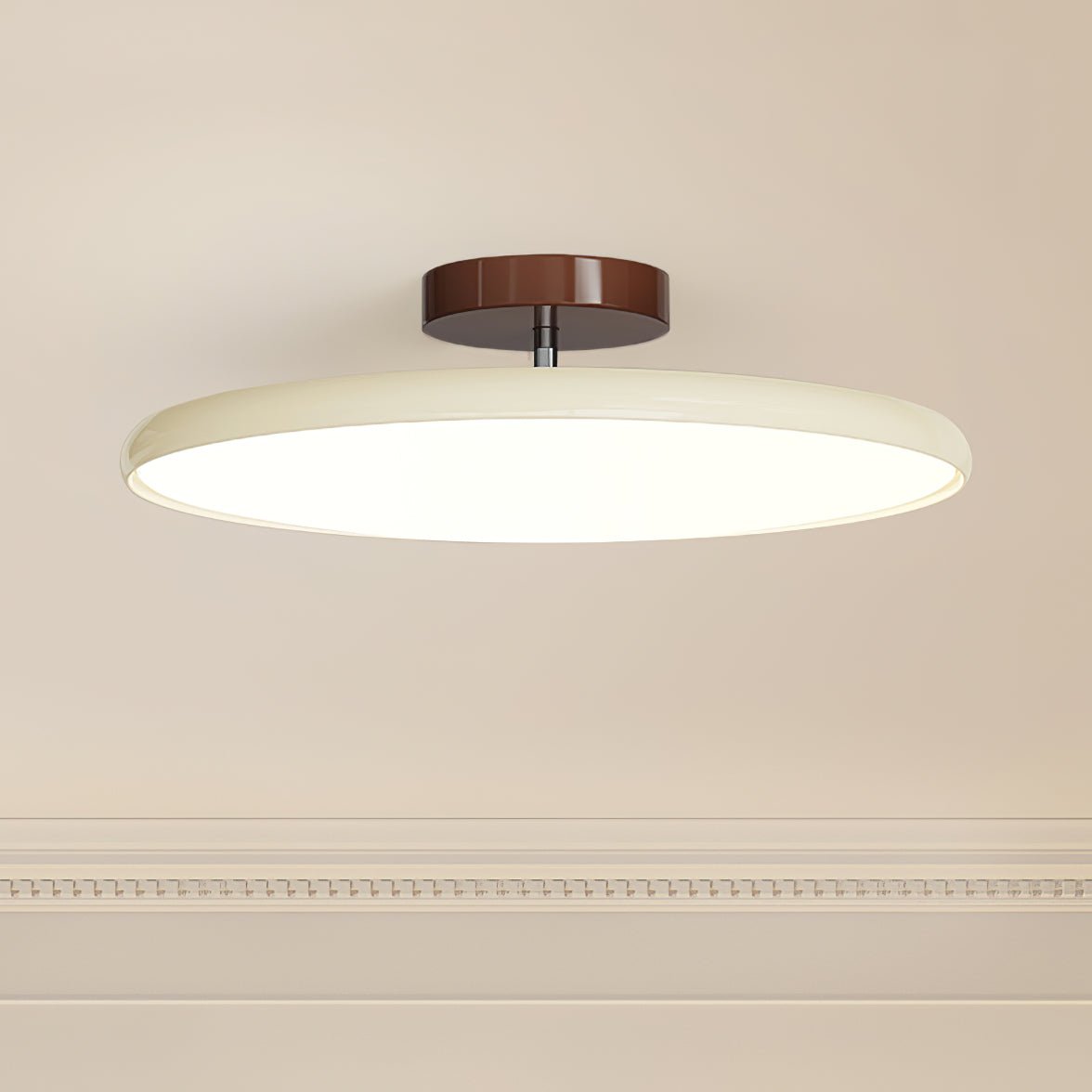 Rioas Adjustable Ceiling Light