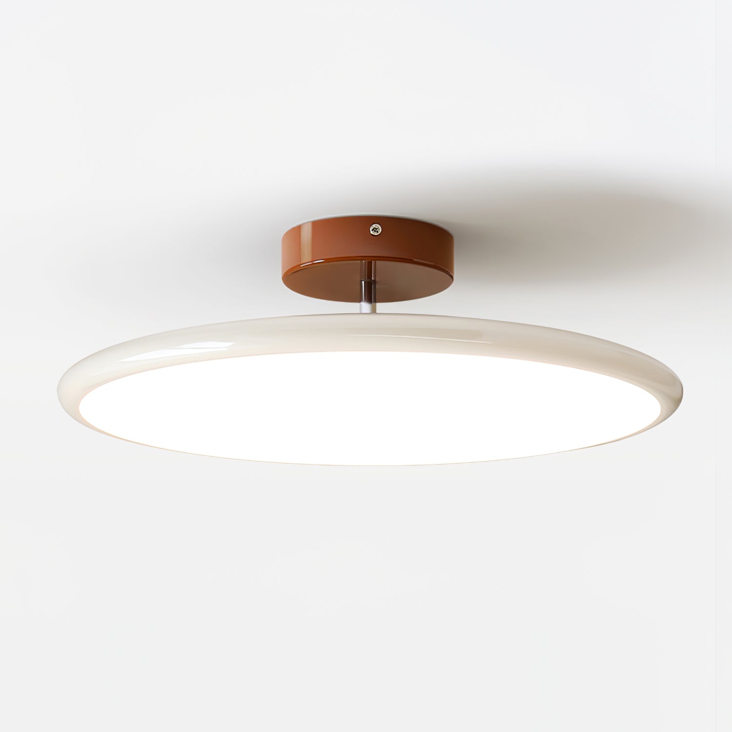 Rioas Adjustable Ceiling Light