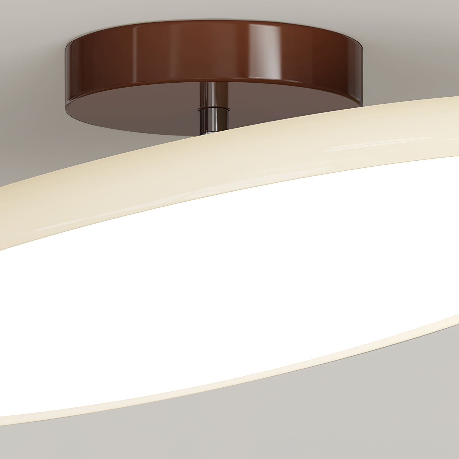 Rioas Adjustable Ceiling Light