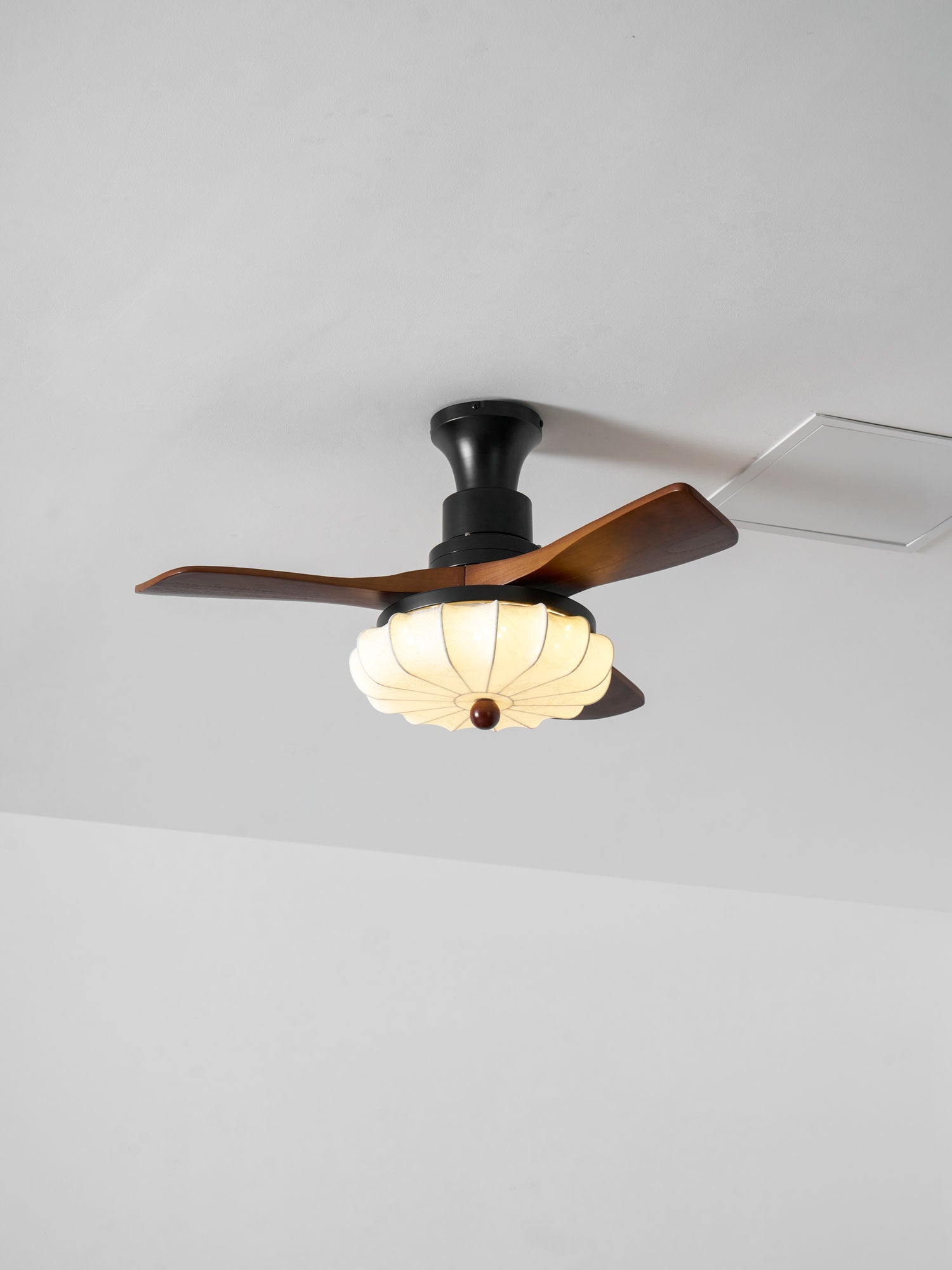 Tavome Ceiling Fan Light