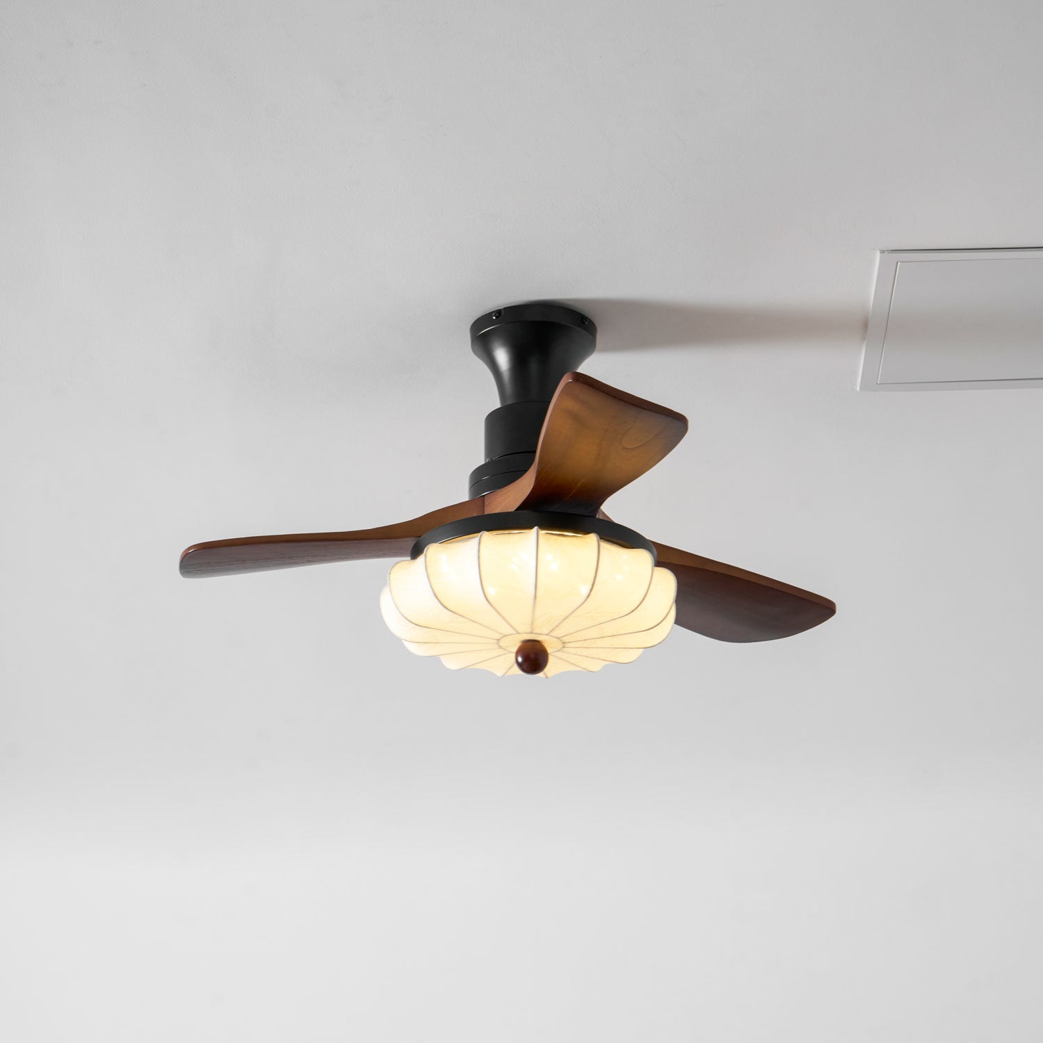 Tavome Ceiling Fan Light