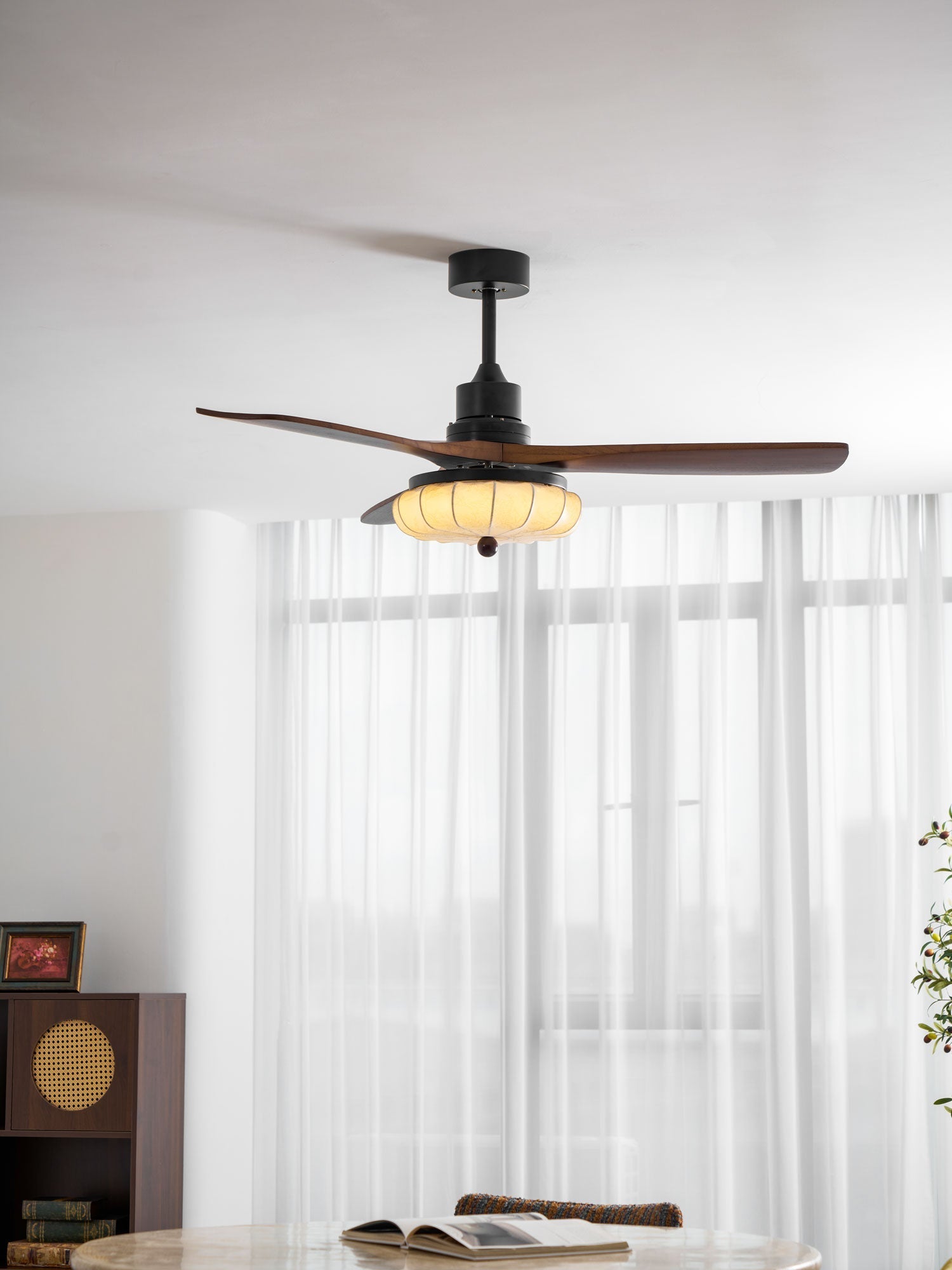 Tavome Ceiling Fan Light