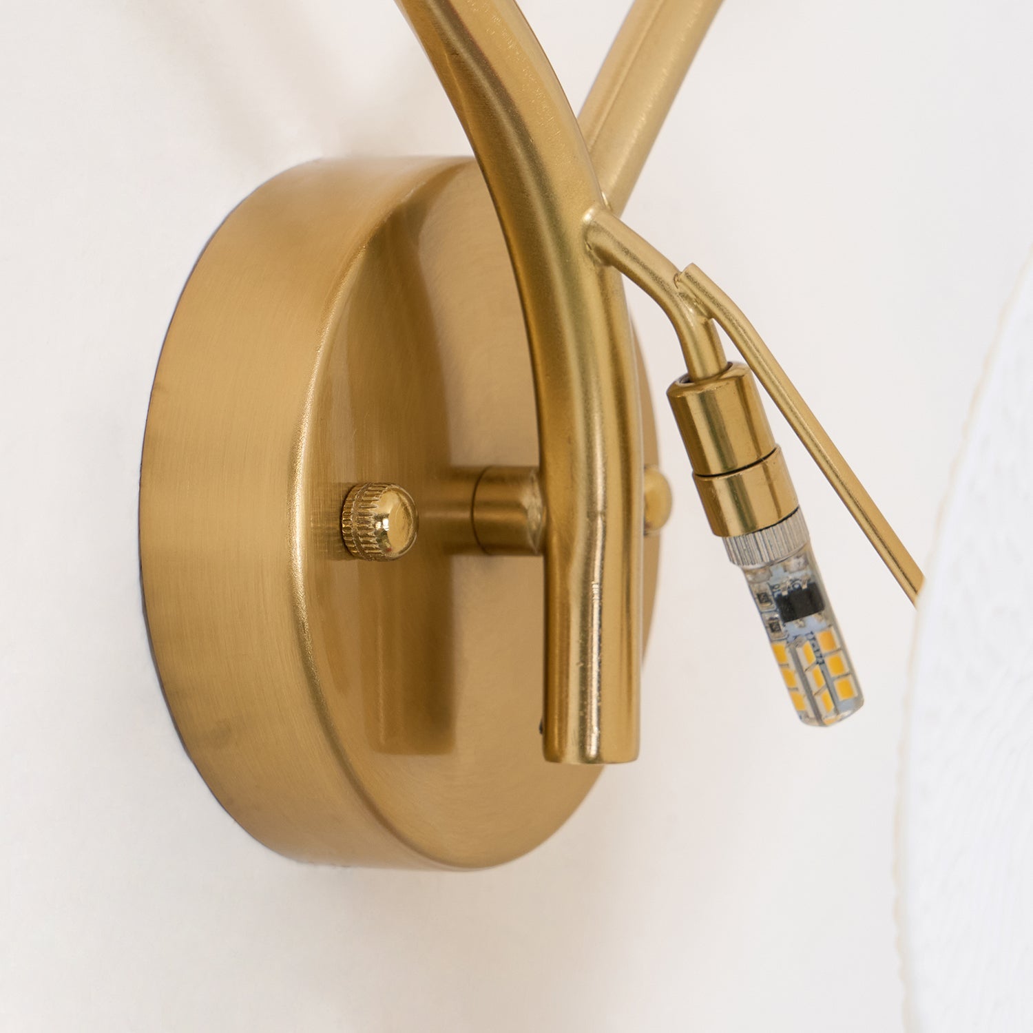 Joray Lotus Wall Light