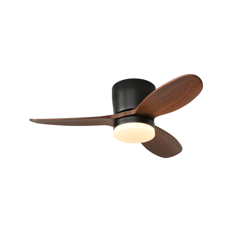 Daro Ceiling Fan Light