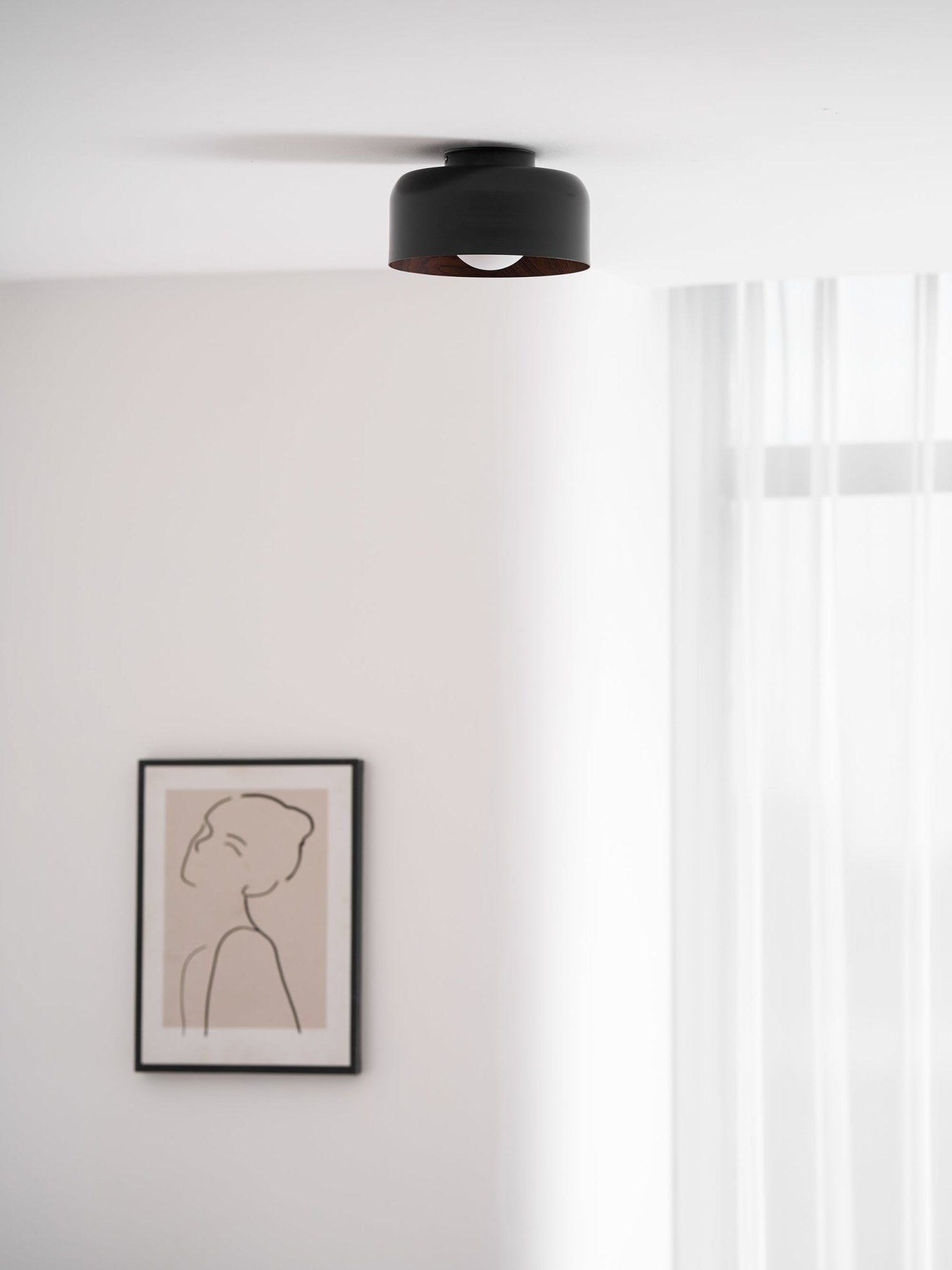 Cayeler Ceiling Light