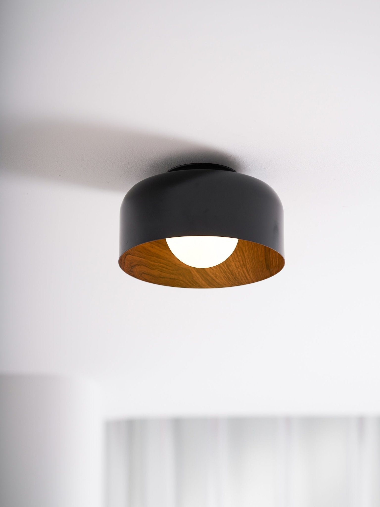 Cayeler Ceiling Light