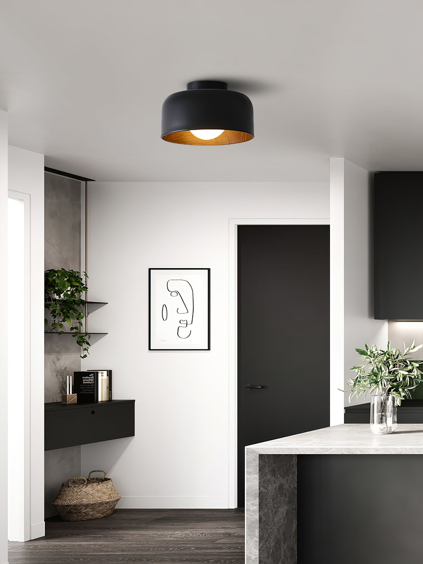Cayeler Ceiling Light