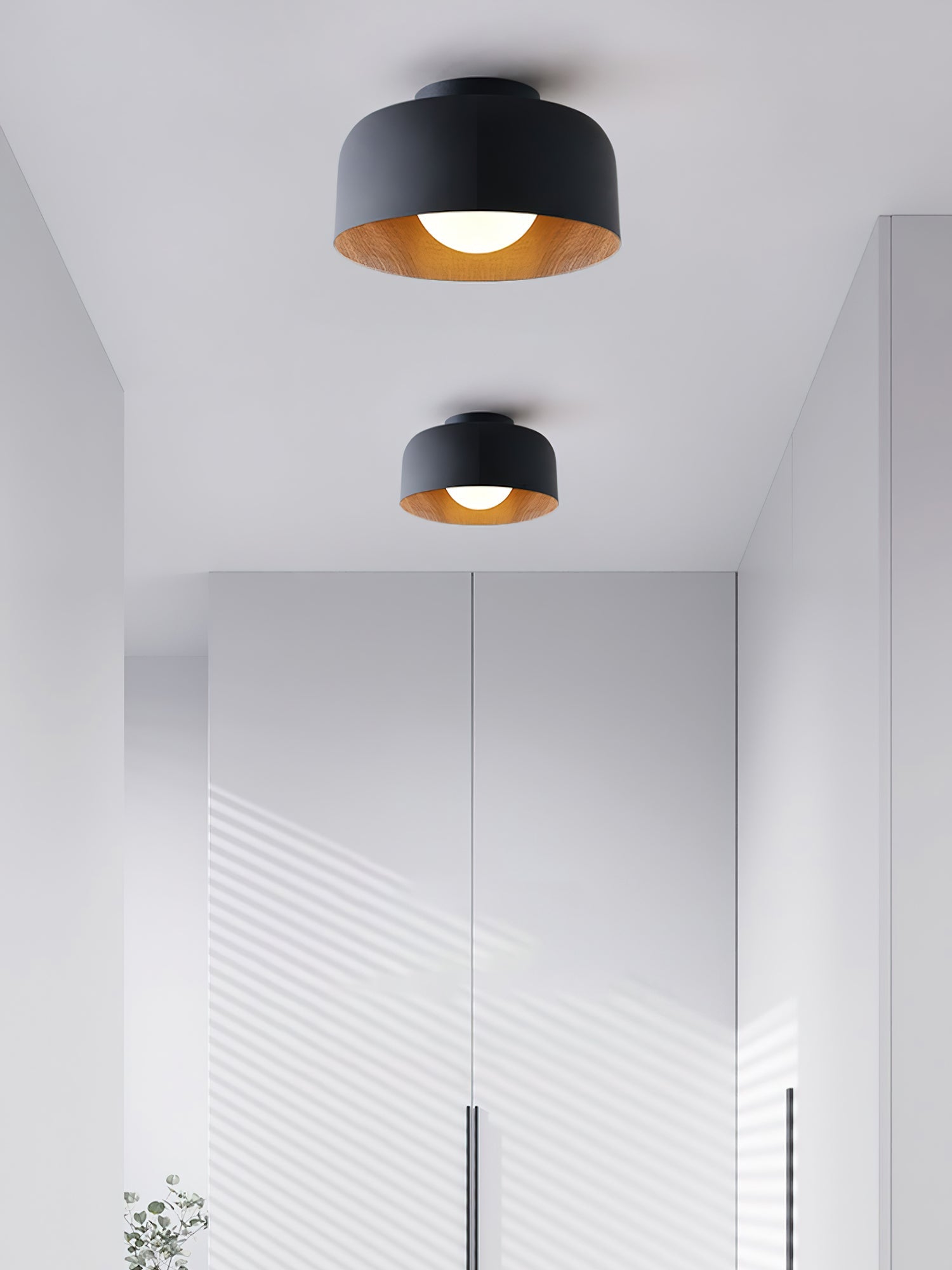 Cayeler Ceiling Light
