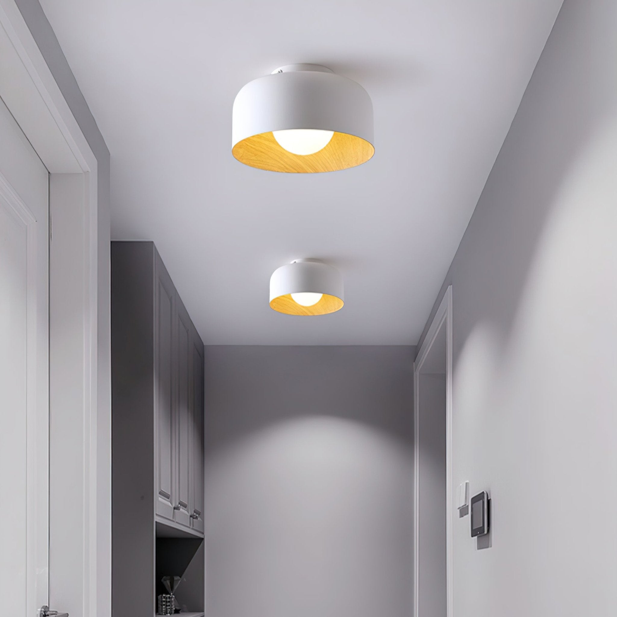 Cayeler Ceiling Light