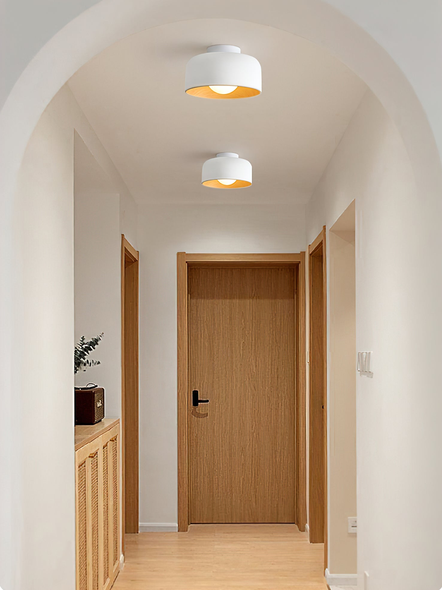 Cayeler Ceiling Light