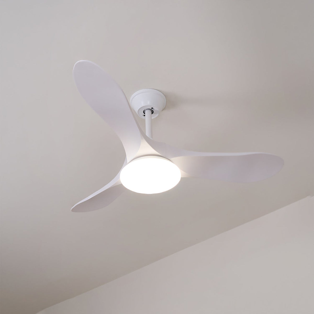 Orenlynko Ceiling Fan Light